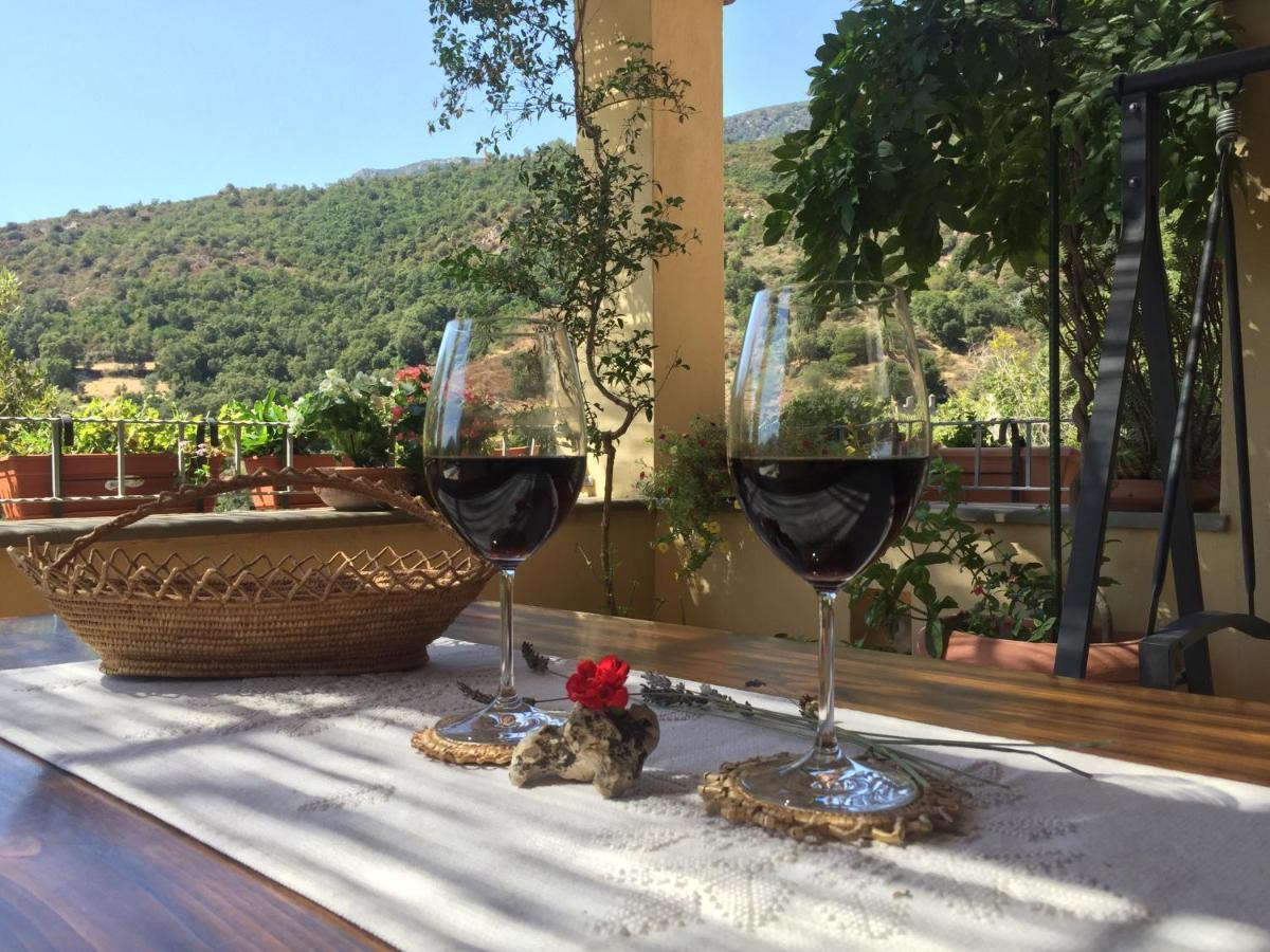 B&B Su Biancu - Sardinian Experience Urzulei 外观 照片