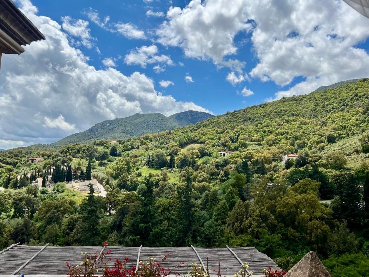 B&B Su Biancu - Sardinian Experience Urzulei 外观 照片